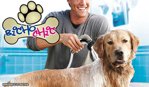 Banho, tosa higiênica, corte de unhas e limpeza de ouvido para cães até 10kg no Bicho Chic Estética Animal, válido de segunda a sábado