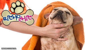 Banho, tosa higiênica, corte de unhas e limpeza de ouvido para cães até 10kg no Bicho Chic Estética Animal, válido de segunda a sábado