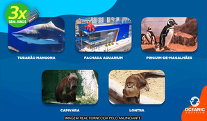GRUPO OCEANIC: passaporte da diversão com ingressos para o Oceanic Aquarium + Cinema 3D + Aventura Pirata + Classic Car Show + Parque Aventura Jurássica