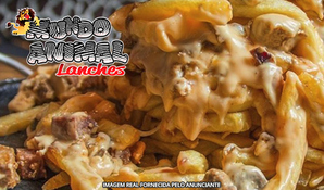 A melhor torre de batata! Batatão Animal médio para 3 pessoas na Mundo Animal Lanches, bem no Centro de Criciúma