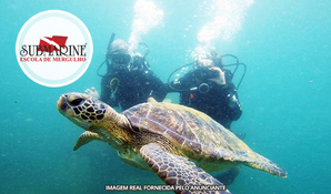 Bombinhas/SC: Mergulho com cilindro, equipamento completo, instrutor com embarcação na Submarine Escola de Mergulho em até 18 vezes no cartão*