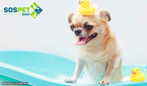 Seu cãozinho sempre cheiroso e limpinho! Pacote mensal de 4 banhos + tosa higiênica para cães de até 10kg na SOS Pet Shop, válido de segunda a sábado
