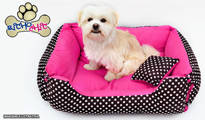 Todo cão merece uma cama quentinha! Caminha de inverno no Bicho Chic, válido de segunda a sábado