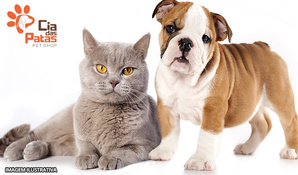 Hoje é dia de brilhar! Banho, tosa higiênica, corte de unhas e limpeza de ouvidos para cães ou gatos até 10kg na Cia das Patas Pet Shop, válido de segunda a sexta