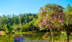 BORGERT RESTAURANTE PESQUE E PAGUE: almoço buffet livre de pratos quentes, filé de tilápia, carnes grelhadas, sopas, saladas e sobremesas, válido aos domingos