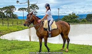 RANCHO DA MONTANHA: passeio a cavalo na Serra do Panelão em Urubici - SC