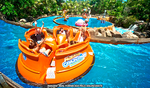 BIAVATUR: diversão garantida no Beto Carrero World! Viagem de ida e volta com passaporte para um dia inteiro no sábado dia 16 de Outubro em até 6 vezes no cartão*! CUPONS LIMITADOS!