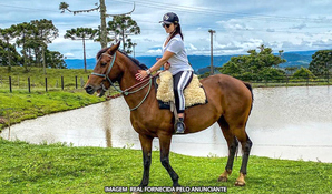 RANCHO DA MONTANHA: passeio a cavalo na Serra do Panelão