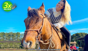 RANCHO DA MONTANHA: passeio a cavalo na Serra do Panelão