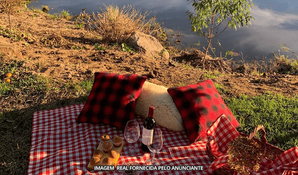 ESTÂNCIA SANTA BÁRBARA: venha curtir um delicioso piquenique na fazenda! Reserve sua cesta e escolha um canto bem romântico em meio a 250 hectares de pura beleza!