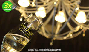 VALE DAS VINHAS TURISMO: tour enoturismo especial em vinícolas de Bento Gonçalves com almoço e transporte de ida e volta