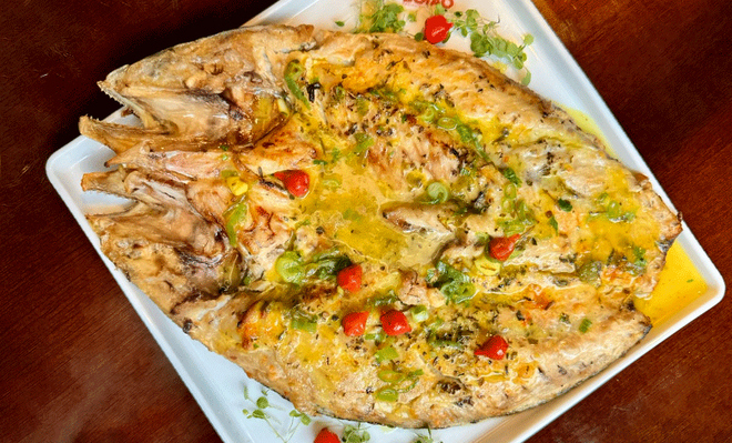 Oferta de Hoje: 0% OFF