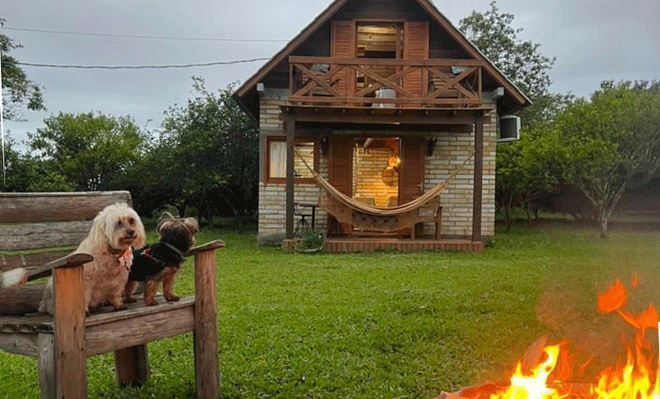 Oferta de Hoje: 0% OFF