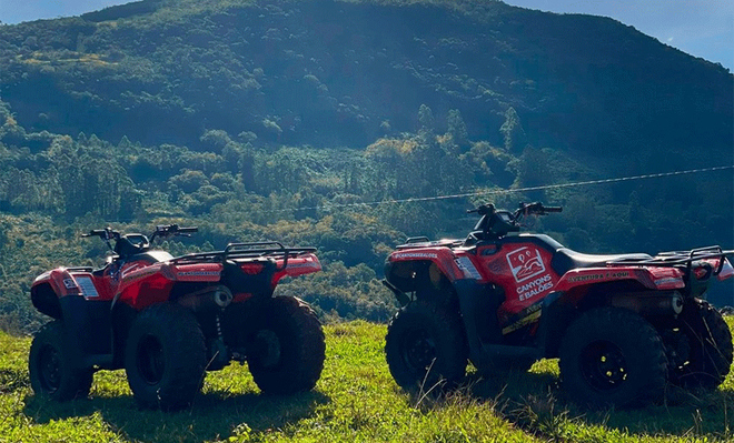 Oferta de Hoje: 0% OFF