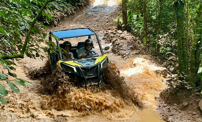 Oferta de Hoje: 0% OFF